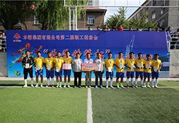 2017中国职工足球联赛冶金体协预选赛成功举行