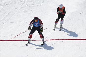 自由式滑雪——男子障碍追逐决赛：加拿大选手夺冠