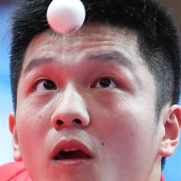 乒乓球男子团体：中国队夺冠