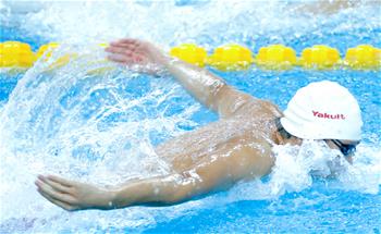 全国冠军赛：男子100米蝶泳决赛赛况