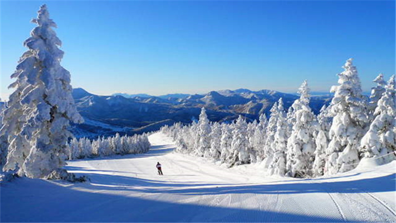 日本滑雪人口20年减少超75% 北京冬奥会带来复兴良机