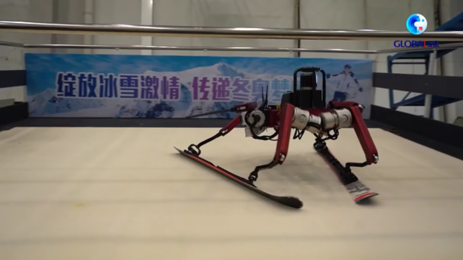 全球連線|和機器人一起滑雪，你體驗過嗎？