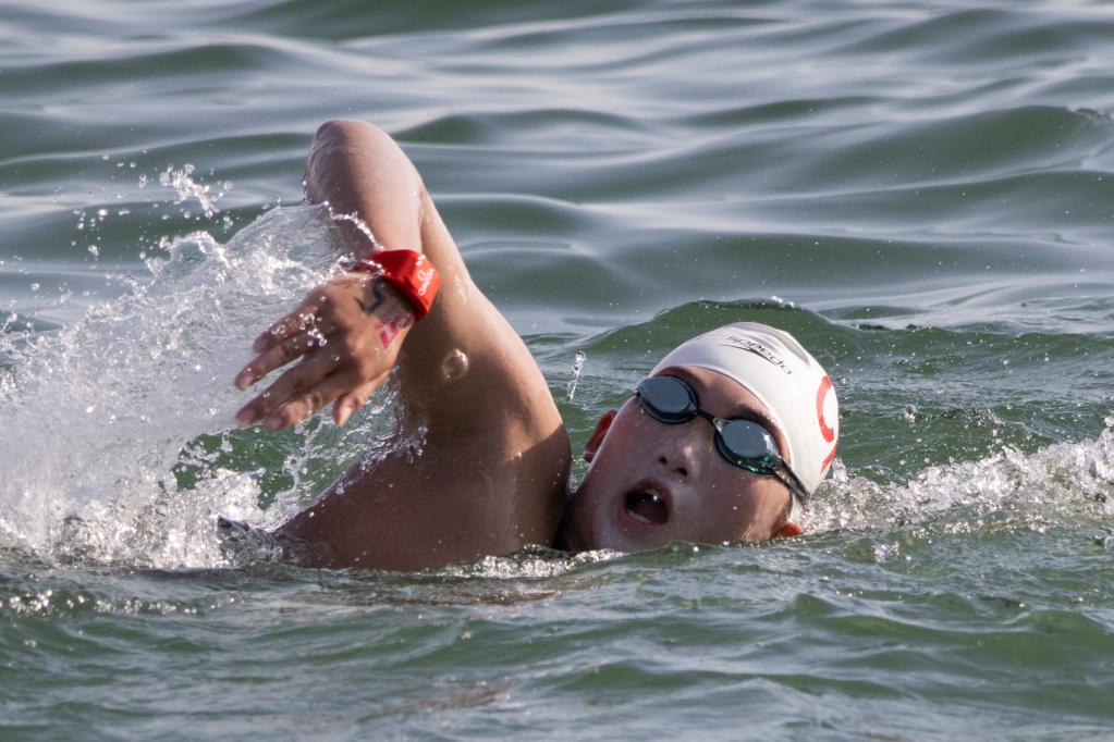 游泳世锦赛：公开水域女子25公里决赛赛况