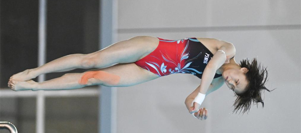 跳水——游泳世锦赛选拔赛：女子10米跳台赛况