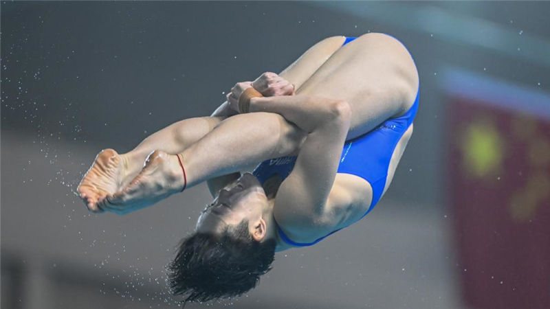 跳水——游泳世锦赛选拔赛：女子3米板赛况