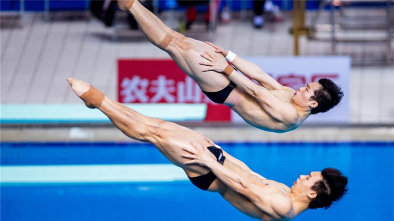 跳水——游泳世锦赛选拔赛：男子双人3米板赛况